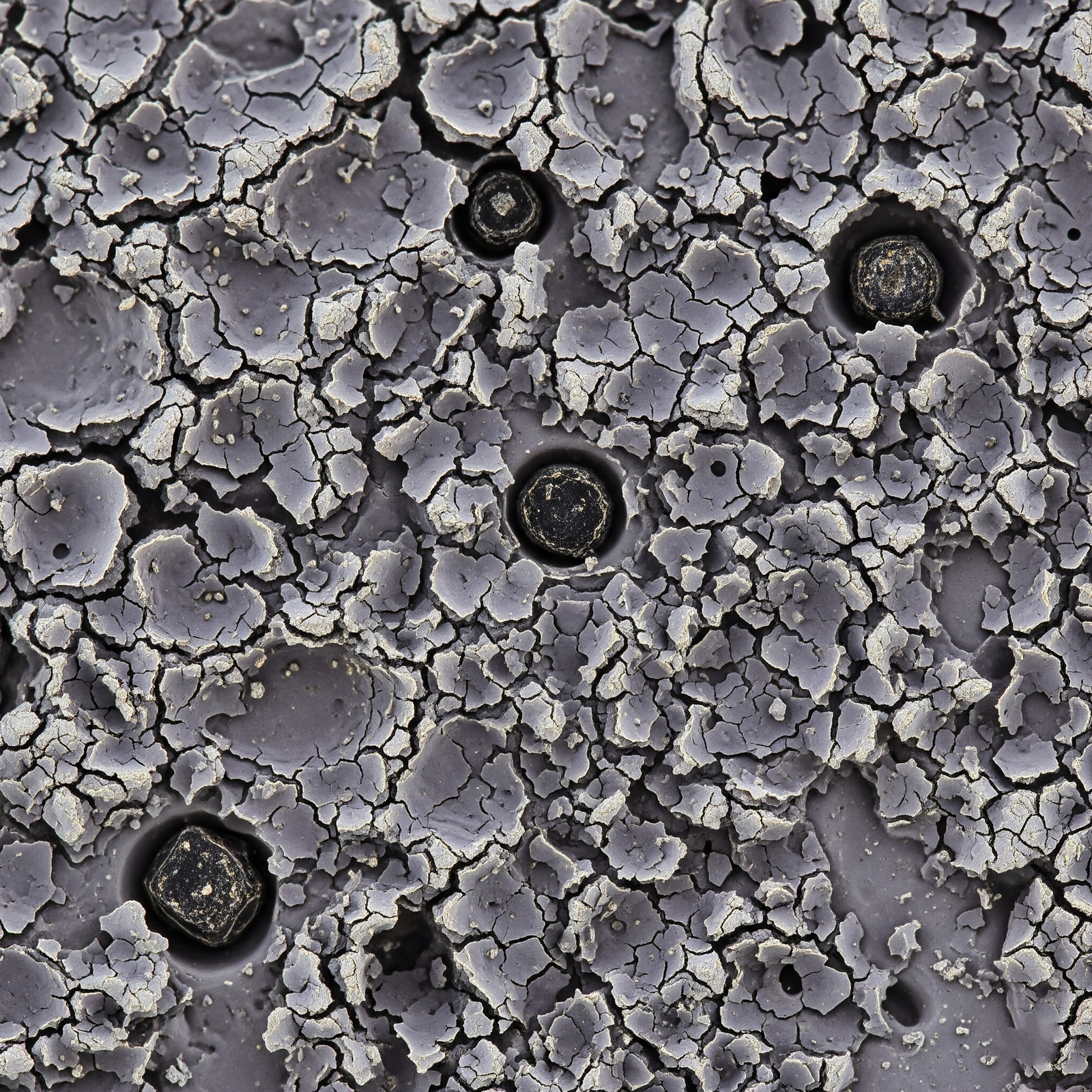 Close-up of metal surface texture